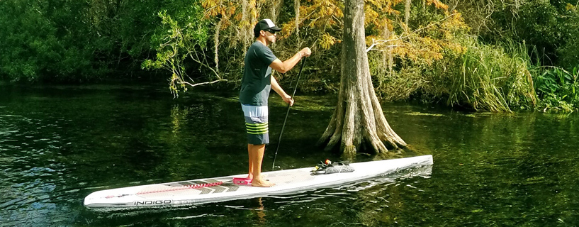 One of the most beautiful paddles you will do on the Gulf Coast of Florida in a Indigo Paddleboards Custom SUP